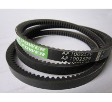 Ремень приводной 1002579 Optibelt (84817626)